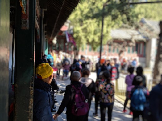 00100lportrait_00100_burst20190325101606970_cover